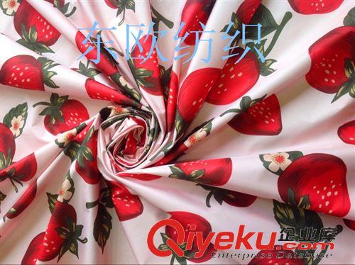 記憶面料（風(fēng)衣面料） 面料廠家常年生產(chǎn) 各種仿記憶印花面料 規(guī)格齊全原始圖片3