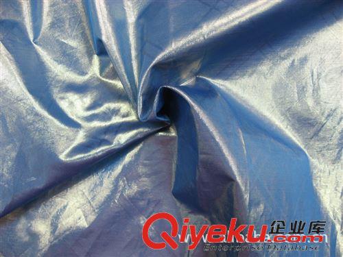 扁平絲面料（亮片絲面料） 加工定制  優質扁平絲面料等更多衣服面料
