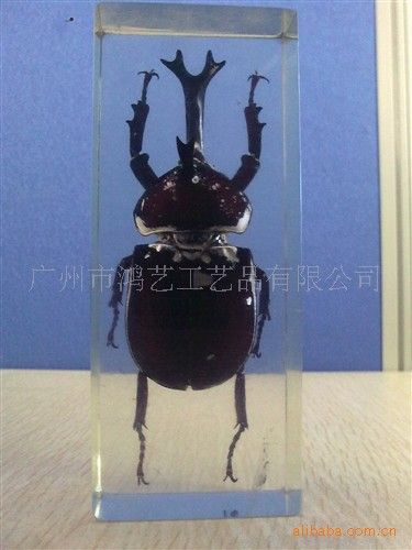 节日喜庆礼品 仿水晶琥珀甲虫标本 树脂工艺品珍藏品