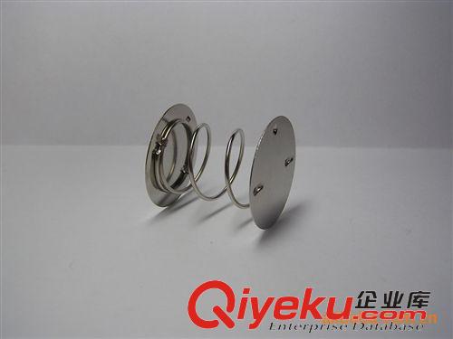 其他 供應現貨庫存 車載汽車 工藝品 壓縮彈簧原始圖片3