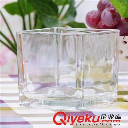 玻璃花瓶 美式鄉(xiāng)村家居裝飾品四正方形透明玻璃花瓶盆器工藝品擺件（小號）