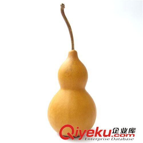 tr版納酒葫蘆/鎮宅葫蘆 供應tr大葫蘆    云南西雙版納土生土長帶把大葫蘆