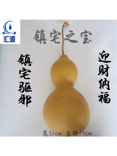 tr版納酒葫蘆/鎮(zhèn)宅葫蘆 供應(yīng)西雙版納土生土長(zhǎng)tr超大葫蘆 鎮(zhèn)宅保平安 風(fēng)水葫蘆1件起批