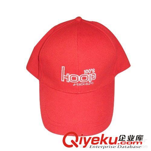 帽子 專業(yè)生產(chǎn)各種工作帽 戶外活動帽 太陽帽 貨車帽 針織帽等