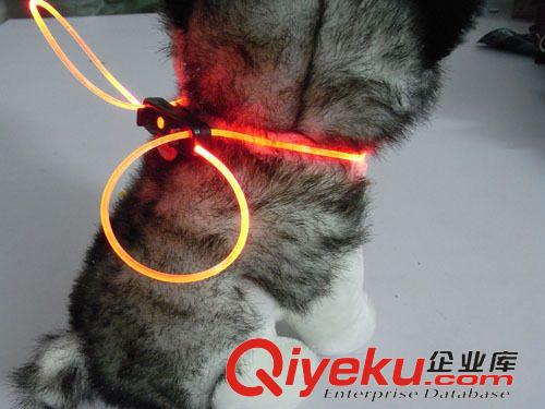 發(fā)光寵物吊墜/掛飾 LED閃亮項(xiàng)圈 發(fā)光項(xiàng)圈 LED狗項(xiàng)圈寵物夜光閃光狗帶 貓狗項(xiàng)圈 現(xiàn)貨原始圖片2