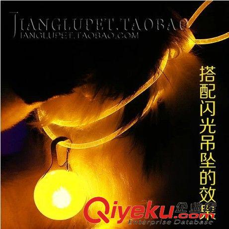 發(fā)光寵物吊墜/掛飾 新款LED閃光吊繩 發(fā)光貓狗掛飾狗脖掛繩 寵物飾品 夜晚出行安全原始圖片3