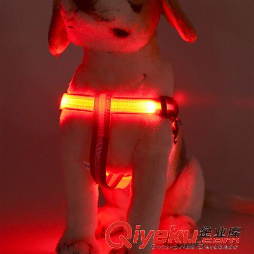 發(fā)光胸背 廠家tj供應(yīng)寵物七彩胸背帶 牽引繩 七彩牽引繩胸背帶 寵物用品原始圖片3