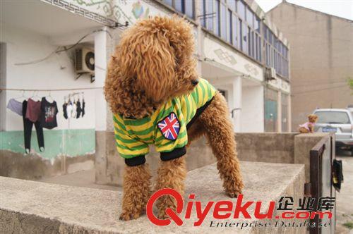 寵物衣服 廠家直銷批發(fā) 寵物衣服 寵物服裝 春裝狗仔衫狗衣服 國(guó)旗衣服現(xiàn)貨原始圖片3