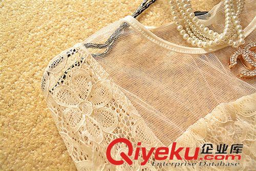 10月新款 2014春裝新款日系可愛長袖網(wǎng)紗拼接蕾絲蓬蓬連衣裙女裝批發(fā)代理原始圖片3