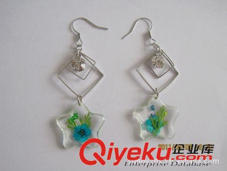 耳環 供應真花押花飾品-鑲鉆五角星耳環