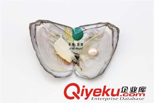 珍珠河蚌-Pearl anodont 8-9珍珠小蚌批發 小貝飾品 超市商場促銷現場加工珍珠飾品 131120原始圖片3