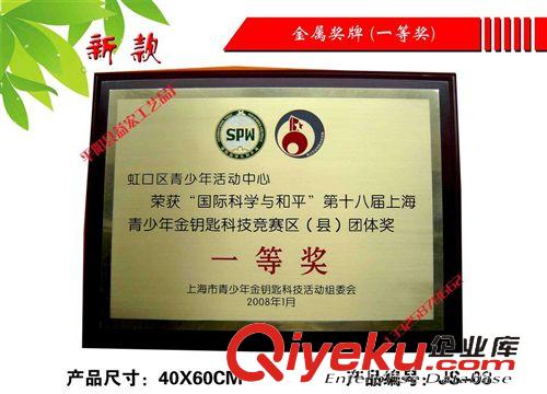 金屬獎牌 系列 先進團總支部獎牌 堆jp  不銹鋼牌  鈦jp 銅牌