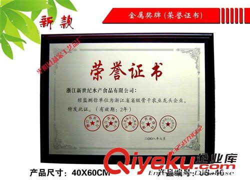 金屬獎(jiǎng)牌 系列 規(guī)范單位原始圖片2