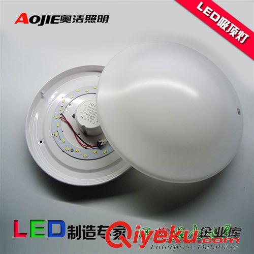 LED室内灯具 奥洁照明批发时尚 简约LED吸顶灯  LED客厅灯   过道灯