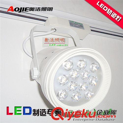 LED室內(nèi)燈具 奧潔照明廠家直銷9W 12W  LED軌道燈   服裝店LED軌道射燈