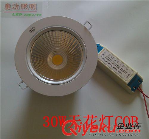 LED室内灯具 厂家直销3- 30W 调光COB天花灯   LED天花灯 LED灯具