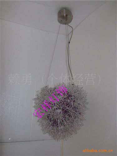 吊燈 工藝小吊燈 鳥吊燈 現(xiàn)代吊線燈 個(gè)性現(xiàn)代吊燈 客房落地?zé)?l工藝原始圖片2
