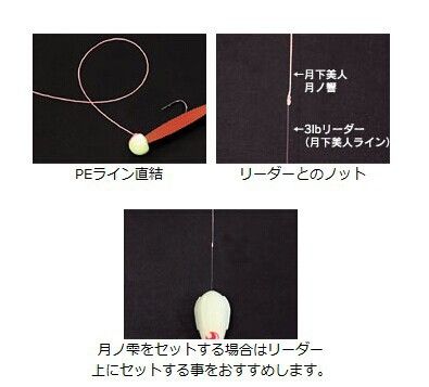 魚線 供應日本DAIWA月下美人EvoSilicone0.3號PE遠投極細漁線原始圖片2