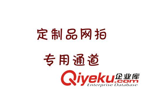 定制品及案例 定制品(網(wǎng)拍專用)