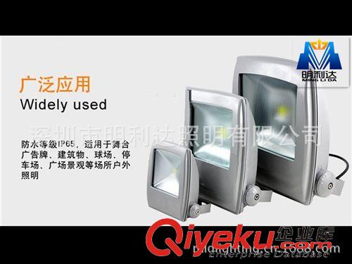 LED戶外亮化燈具 中山LED廠家直銷戶外照明投光燈50W 節(jié)能環(huán)保防霧