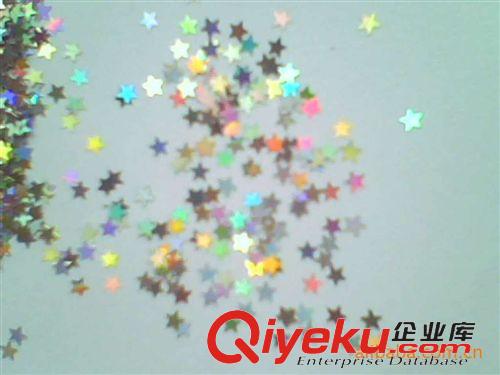 金蔥粉銀蔥粉閃光粉閃光片 廣州工藝品金蔥粉，韶關(guān)注塑金蔥粉，深圳美甲閃粉原始圖片3