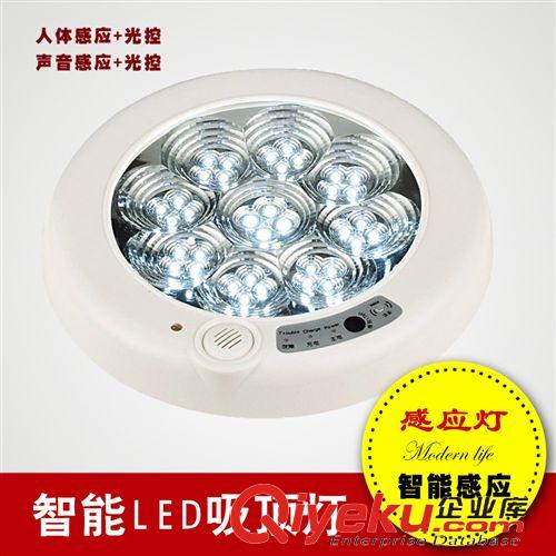 吸頂燈 批發(fā)吸頂燈一件代發(fā)智能人體感應(yīng)燈聲光控吸頂燈樓道消防應(yīng)急燈