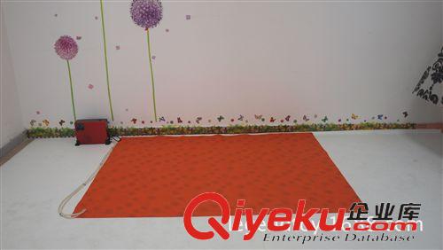 家居用品 廠家批發(fā)充氣床墊、充氣冷暖床墊可控制冷熱床墊  tj原始圖片3