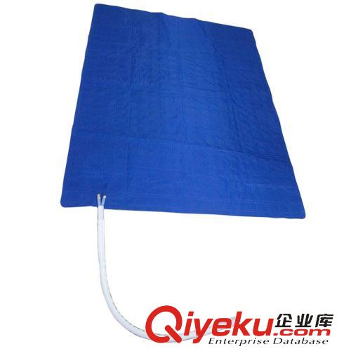 家居用品 供應PVC充氣冷暖床墊、醫療床墊、PVC充氣植絨床墊、單/雙人床墊原始圖片3
