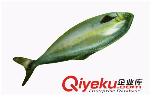 充氣卡通、模型 廠家直銷(xiāo)充氣藍(lán)色海豚、水上坐騎tj原始圖片3