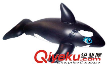 充氣卡通、模型 充氣海豚、充氣鯊魚、環(huán)保材質(zhì)單價優(yōu)惠