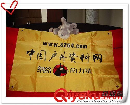 旗幟 PVC旗子，家居用品，戶外用品，PVC充氣玩具，充氣廣告模型原始圖片2