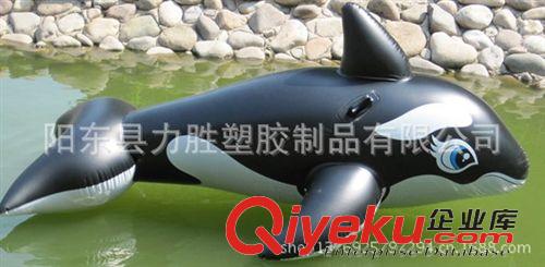 六.充氣廣告模型 廠家供應(yīng)水上兒童充氣玩具/pvc充氣鯊魚座騎/動物玩具原始圖片2
