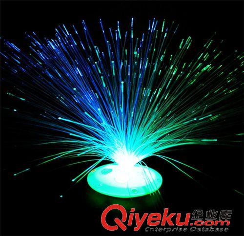 發光玩具 發光寶石滿天星光纖花 地攤熱賣七彩光纖燈創意玩具批發原始圖片2