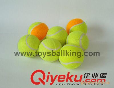 網(wǎng)球 粘巴球 魔術(shù)貼球 投擲玩具球 毛面網(wǎng)球 針面網(wǎng)球 63MM雙色網(wǎng)球