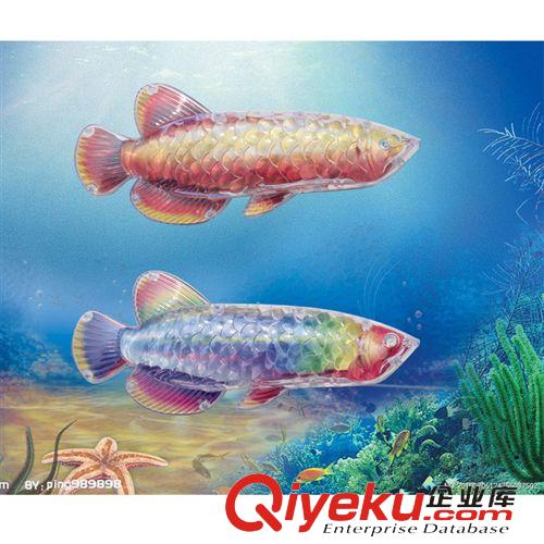 釣魚玩具 透明大金龍魚雙面立體磁性散裝廠家直銷批發(fā)混批兒童夏天戲水玩具原始圖片3