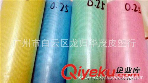 網(wǎng)眼布 廠家直銷 pvc夾網(wǎng)塑料夾網(wǎng) pvc透明夾網(wǎng)布 透明網(wǎng)格布原始圖片3