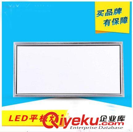 LED面板灯 300*600集成LED面板灯 led嵌入式厨卫吸顶灯/平板灯/14W16W 厂价