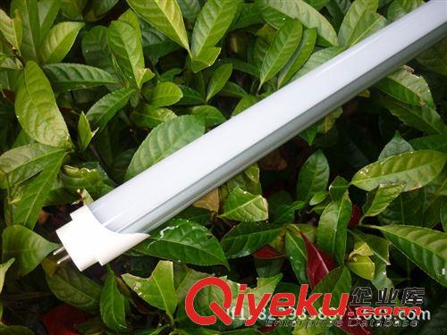 led分體日光燈系列 高品質(zhì)led燈具 燈管 led節(jié)能燈 led日光燈配件 led球泡燈廠家直銷原始圖片2