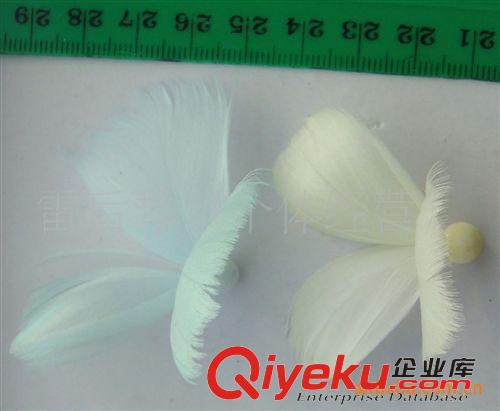 羽毛飾品類 大量供應(yīng)各款新品彩色羽毛面具