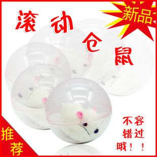 一箱起批區(qū) 滾動(dòng)小倉(cāng)鼠 電動(dòng)玩具 會(huì)走路的小倉(cāng)鼠 地?cái)偀豳u(mài)0.2