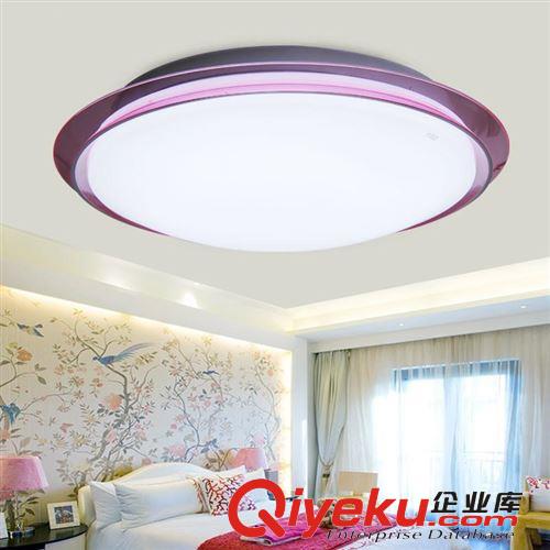 LED圓形吸頂燈 歐雷森led吸頂燈現(xiàn)代臥室燈飾陽臺燈具NPX61286新款
