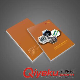 LED/照明/光電 深圳寶安宣傳冊印刷 宣傳冊定制 平面設(shè)計公司 歡迎您貨比三家原始圖片2