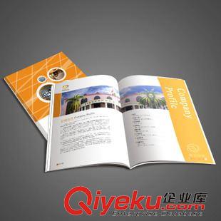 機械/工業(yè)/機電/電力檢測儀設(shè)備 深圳筍崗產(chǎn)品宣傳畫冊設(shè)計 8年的行業(yè)經(jīng)驗 美術(shù)學(xué)院的設(shè)計團隊原始圖片2