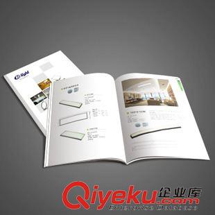LED/照明/光電 深圳畫(huà)冊(cè)定制 畫(huà)冊(cè)設(shè)計(jì)印刷 廣州美術(shù)學(xué)院科班設(shè)計(jì)策劃團(tuán)隊(duì)服務(wù)原始圖片2