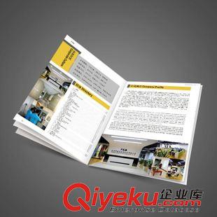 宣傳品設(shè)計(jì) 畫冊(cè)印刷 畫冊(cè)設(shè)計(jì) 東莞畫冊(cè)設(shè)計(jì)印刷 專業(yè)產(chǎn)品攝影 突出產(chǎn)品賣點(diǎn)原始圖片3