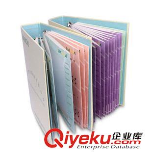 文件夾 辦公用品 a4文件夾定制 個(gè)性化辦公文具 資料夾收納用品定做廠家