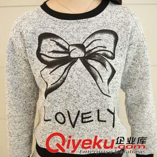 8.14新品 2015秋裝新款女裝韓版大碼寬松圓領(lǐng)印花長袖上衣短裙休閑兩件套裝原始圖片3