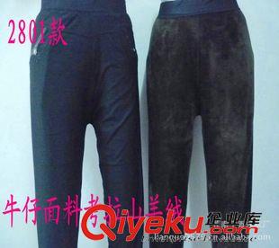 打底褲 2801款熱銷 女士加厚牛仔保暖褲 考拉絨金豹加厚