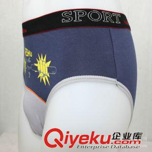 男女全棉其它內褲 專業外貿內褲廠家 男式內褲批發 對色莫代爾棉外貿平角內褲