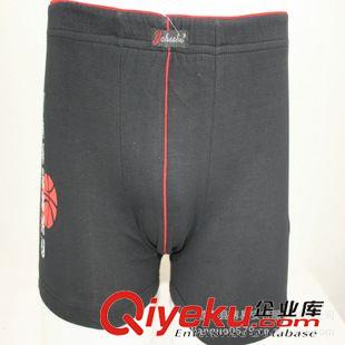 男女全棉其它內褲 廠家供應 彈力棉男式內褲批發 gd男式平角內褲 量大價優原始圖片2